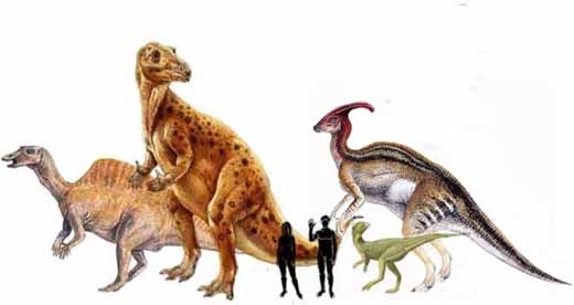 Орнитоподы, травоядные динозавры