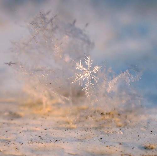 Снег, кристаллы